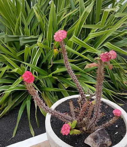 Cristina * Пуэрто дель Кармен